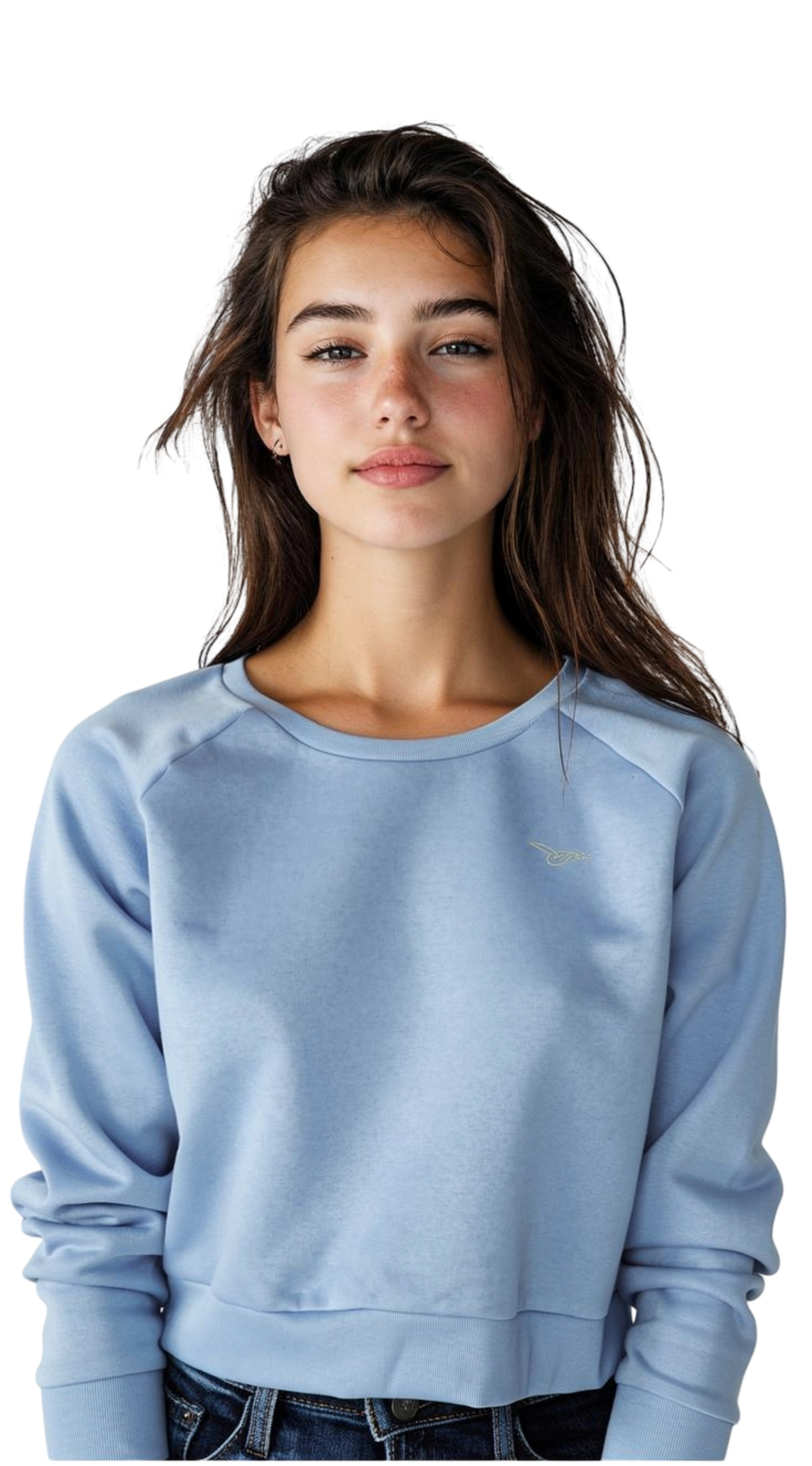 Möwe Stick Pulli hellblau